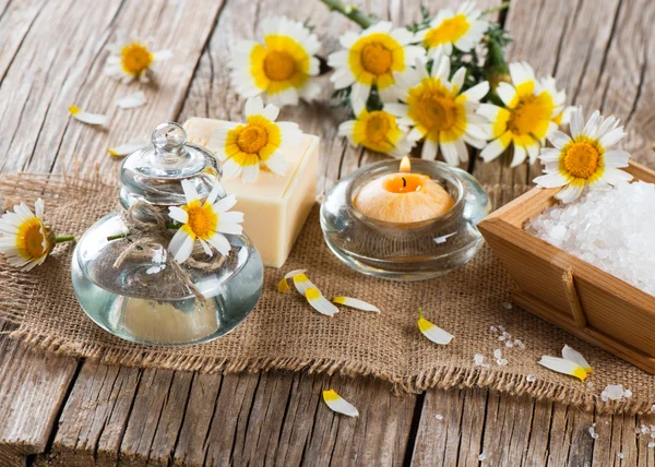 Aroma spa with chamomile flowers — Stock Photo, Image